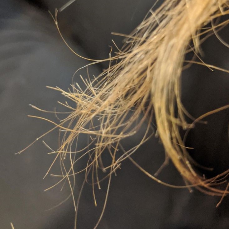 professional home hair care